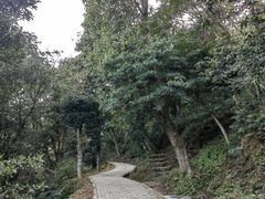 -梧桐山风景名胜区