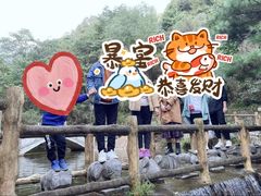 -王顺山国家森林公园