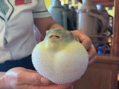 -永安鱼庄·镇江菜(丁卯店)