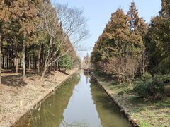 -东平国家森林公园