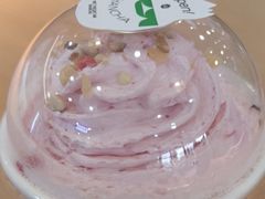 -雾与山茶(大禹城店)