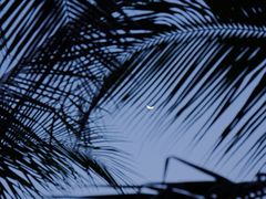 -白沙门生态公园