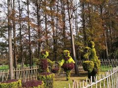 -上海长兴岛郊野公园