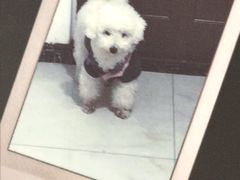 -格林豪泰智选酒店(合肥西站西七里塘地铁站店)