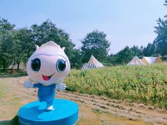 -东平国家森林公园