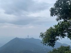 -梧桐山风景名胜区