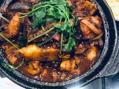 麻辣鲶鱼煲-川香煲(茅台路店)