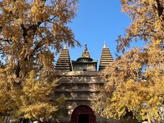 -北京石刻艺术博物馆(五塔寺)