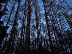 -长春市南湖公园