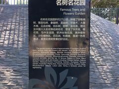 -东莞植物园