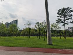 点击看大图 -纷尼探险鸭·亲子户外剧本杀(天河公园店)