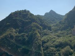 -大岭沟猕猴桃谷风景区
