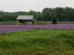 -江苏三台山国家森林公园