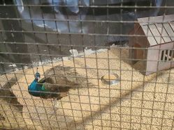 -酷嗒动物文化乐园(cutezoo西溪乐天城店)