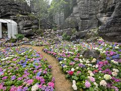 -梭布垭石林景区