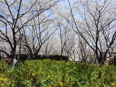 -虹口足球场壁球馆