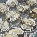 你敢信？这里吃海鲜人均不过百❗️