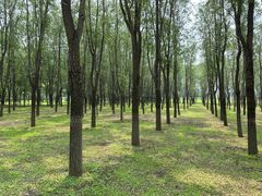 -东郊湿地公园