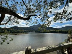 -九鲤湖风景区