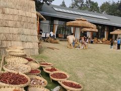 -中国天府农业博览园