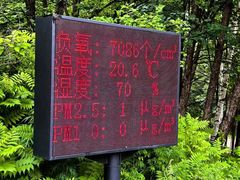 -五营国家森林公园