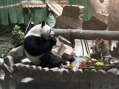 -灵玲国际马戏城