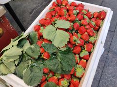 -老炳·七丛松甘草水果