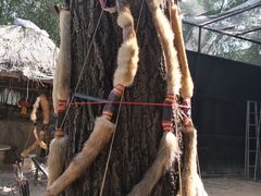 -竹泉村旅游度假区