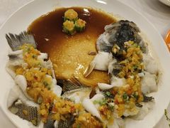 -粤盛海鲜平价店(洛溪食街店)