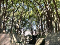 -上海方塔园