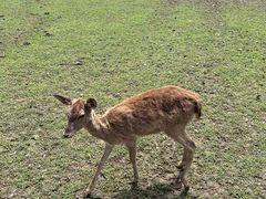 -苏州太湖西山岛开心农场