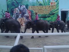 -大连森林动物园