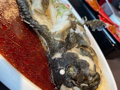 清蒸石斑鱼-羲和雅苑•北京烤鸭(平安国际金融中心店)