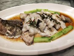 -紫圆 · 雅宴高级餐厅(杭州东站店)