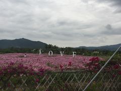 -亚龙湾国际玫瑰谷