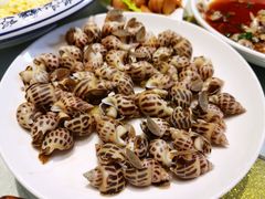 花螺-启东海鲜人家(古美路店)