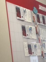 -上海玫瑰医疗美容医院