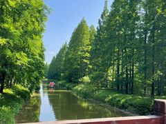 -黄海国家森林公园