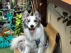 -梧桐巷咖啡厅·coffee&bar