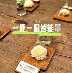 -东英经典SKIN&SPA