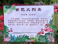 -南宁南湖公园