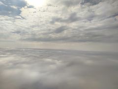 -福兴猪肚鸡(固戍店)