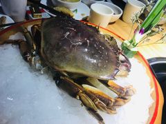 -捞围鲜·港式打边炉(海阳路店)