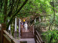 -光雾山旅游景区
