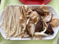 杂菇-15年老字号鑫鑫猪肚鸡·椰子鸡海南火锅(兴隆华侨农场店)