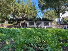 -绍兴鲁迅故里·沈园景区