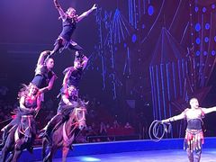 -珠海横琴长隆《卡卡虎奇遇记》