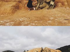-西海岸生态观光园