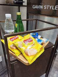 -崇尚GAVIN STYLE臻选