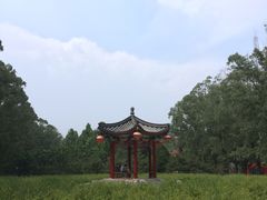 -北京麋鹿生态实验中心